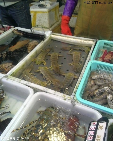 海鲜大餐_海鲜干货_海鲜经销商