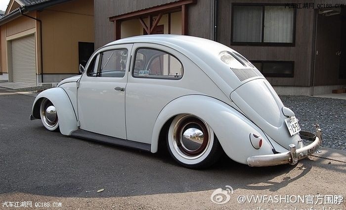 黑色巨变抢夺眼球 甲壳虫变色另类作业