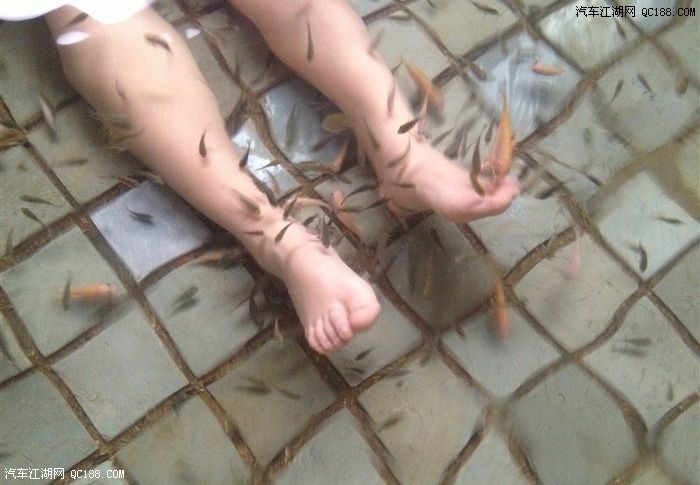 v5带老婆泡温泉