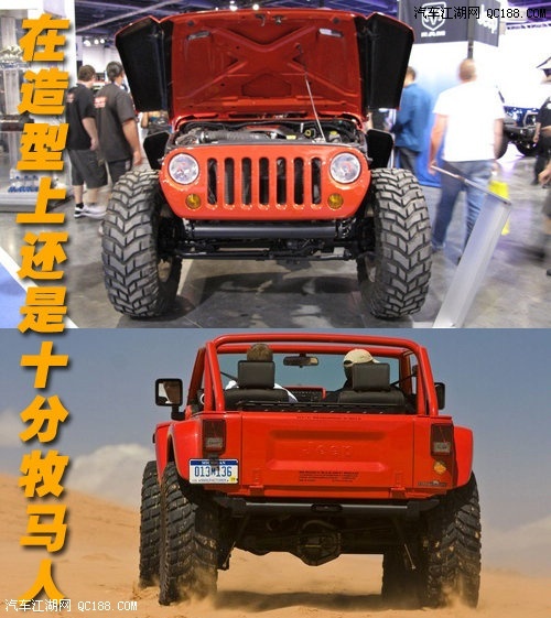 jeep rubiconޱ