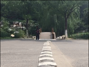 时速20km/h通过减速带 动态图】