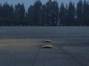 (时速20km/h慢动作演示)