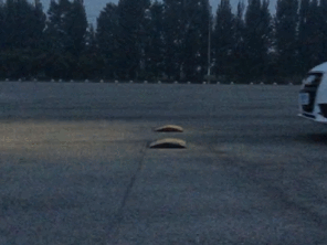 (时速30km/h慢动作演示)