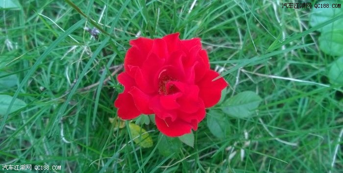 新款代步小跑车长安奔奔惊喜周末游记