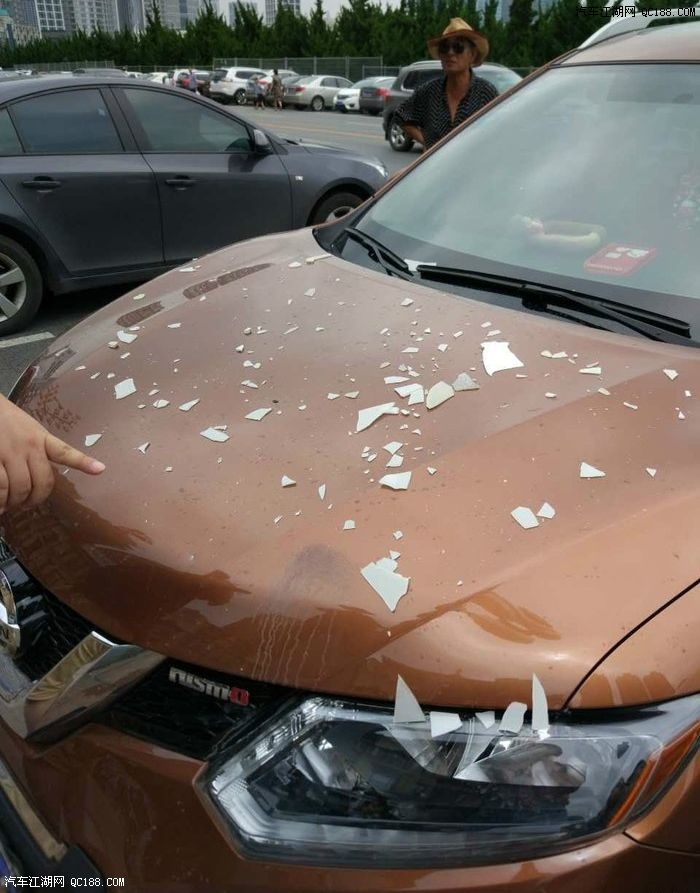 【图】奇骏这次真是倒霉到家了,凶手就是他。