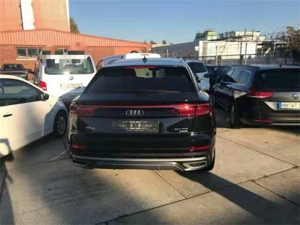 2019µQ8 ɫʵ
