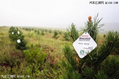Honda在华关联企业联合植树13年 万亩荒漠添新绿