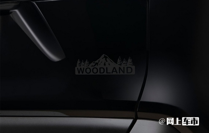RAV4 Hybrid Woodland Editionع