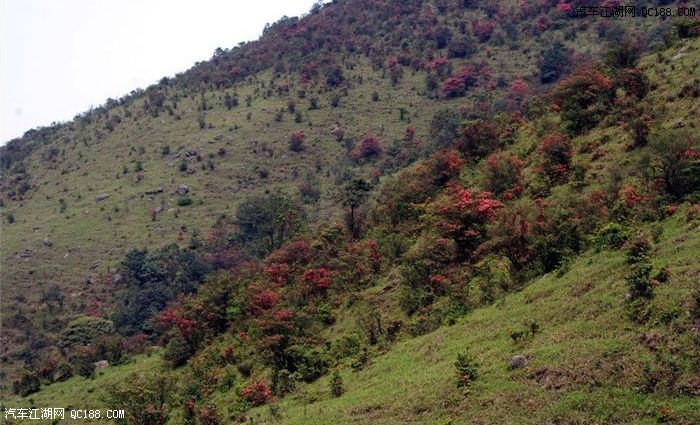 广东开平市天露山故事